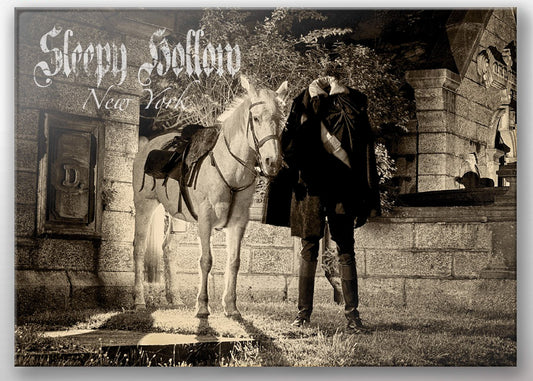 #7 Magnet Black and White Horseman